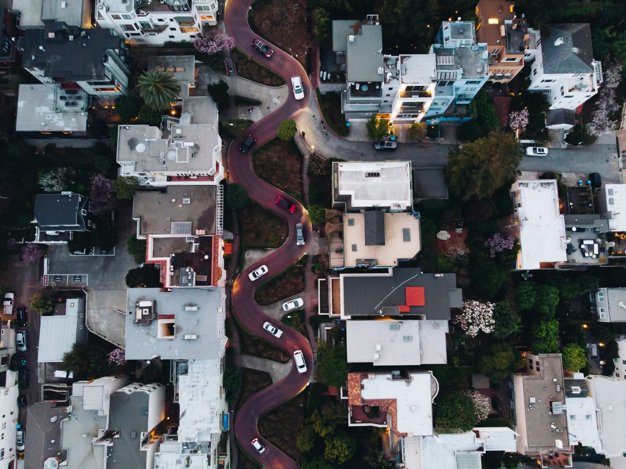 A winding San Francisco street from above surrounded by American homes.